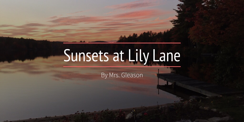 Sunsets at Lily Lane