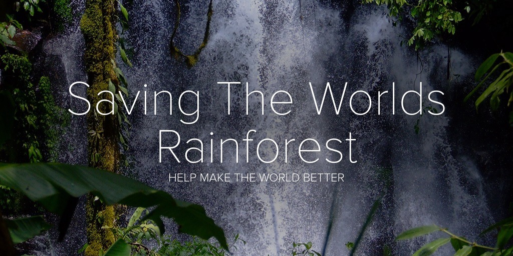 Saving The Worlds Rainforest