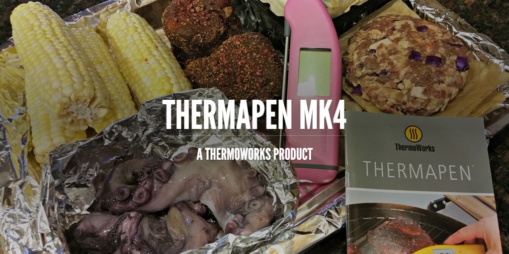 ThermaPen Mk4