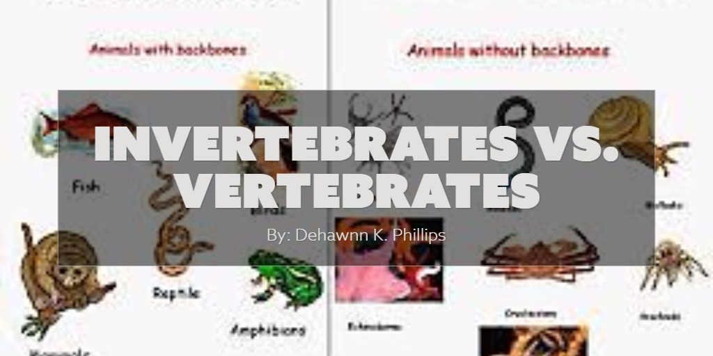 Invertebrates Vs. Vertebrates