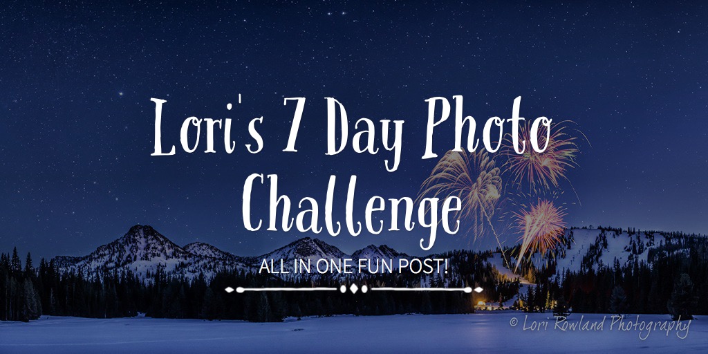 Lori's 7 Day Photo Challenge